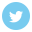 Twitter Icon